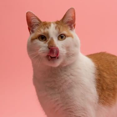 Erika Running Short-28-Green-changes